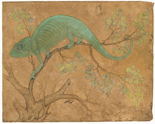 140 Chameleon Chameleon Mansur c 1612